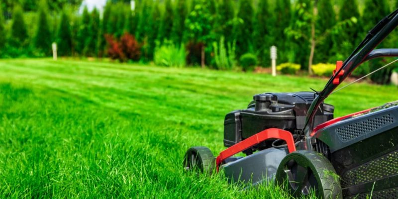 Makes a Lawn Service